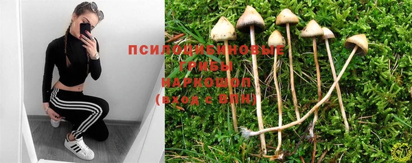 марки nbome Пересвет