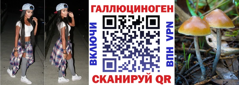 Галлюциногенные грибы мицелий  Краснослободск 
